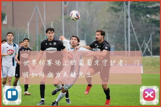 世界杯赛场上的葡萄牙守护者:门将如何成为关键先生