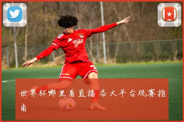 世界杯哪里看直播 各大平台观赛指南