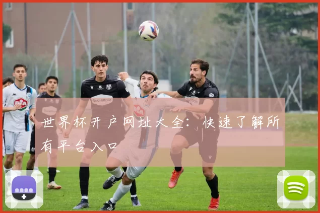 世界杯开户网址大全:快速了解所有平台入口