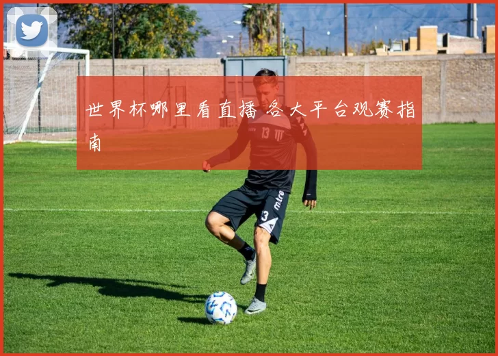 世界杯哪里看直播 各大平台观赛指南