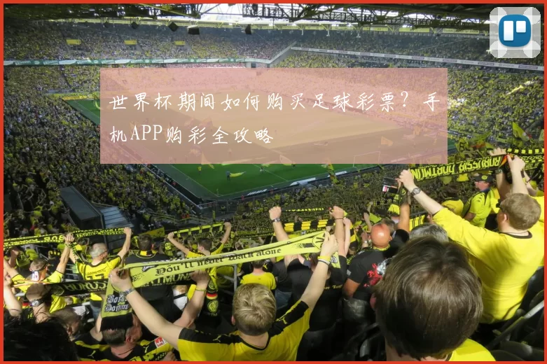 世界杯期间如何购买足球彩票？手机APP购彩全攻略